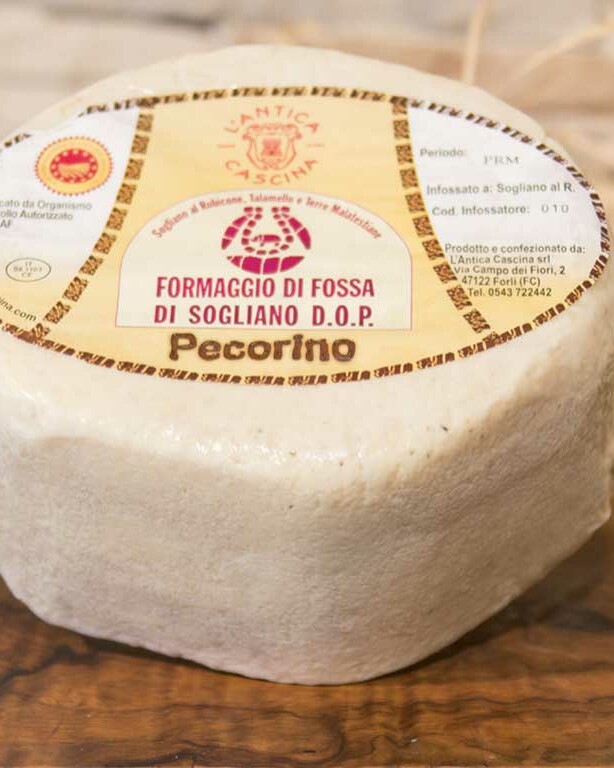 formaggio di fossa dop pecorino romagnolo